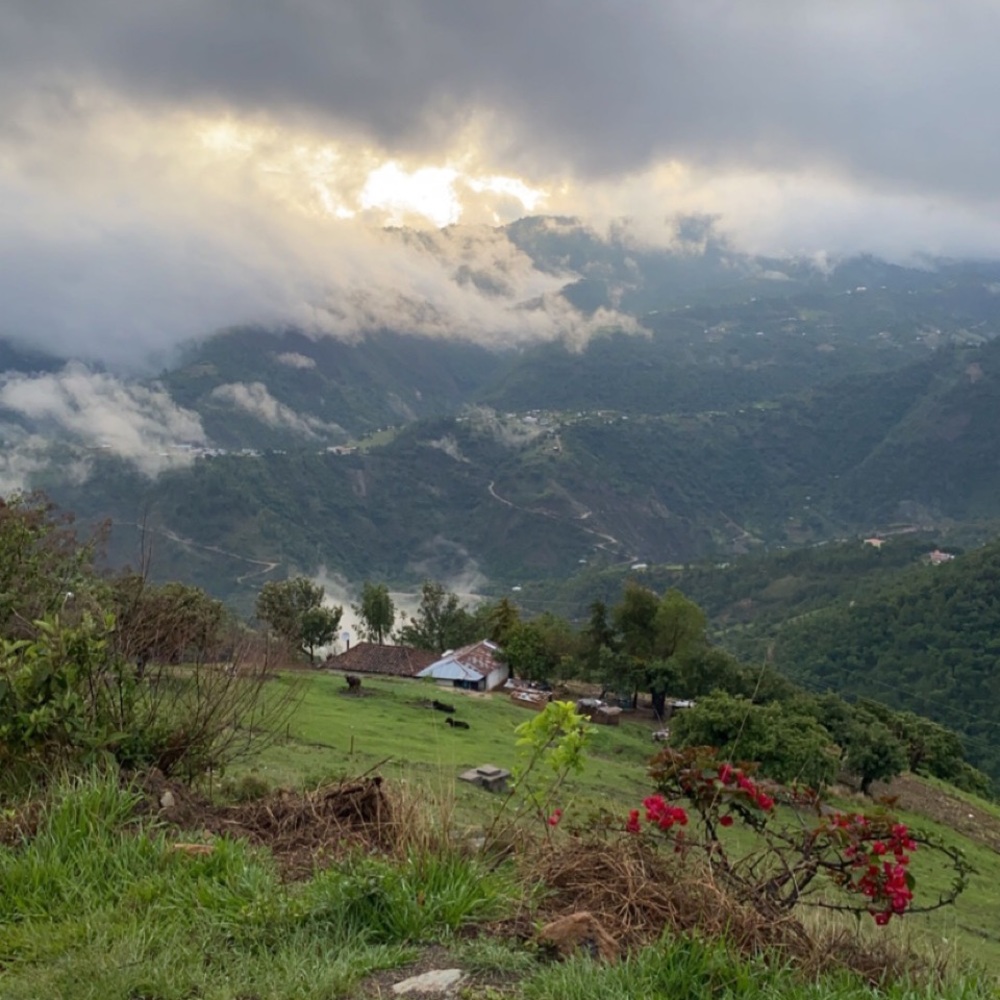 Meet your Posher, Bri 🍓